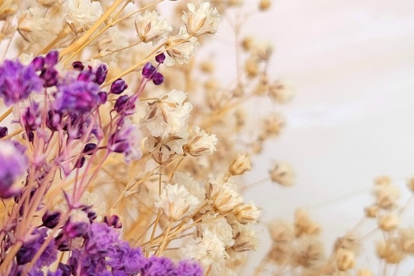 その他の家庭療法